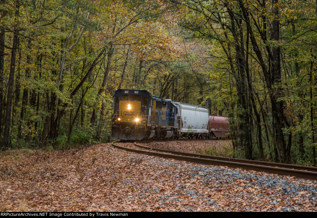 CSX L810 at Bowen Holdout